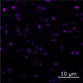 Des défauts fluorescents quantiques observés pour la première fois à l'échelle individuelle dans du silicium